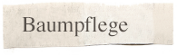 Baumpflege